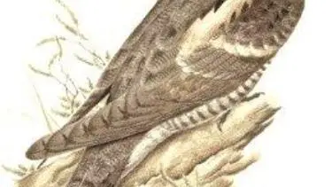 cclt_pna_engoulevent