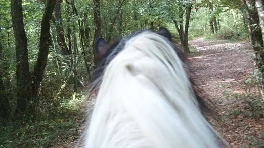 SAINTPIERREDECAUBEL_LGC090A_13 - randonnée à  Missandre.jpg