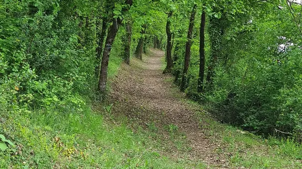 HLOAQU047V50J614_Montayral_Maison des Index_chemin