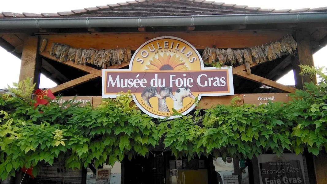 musee foie gras (1)