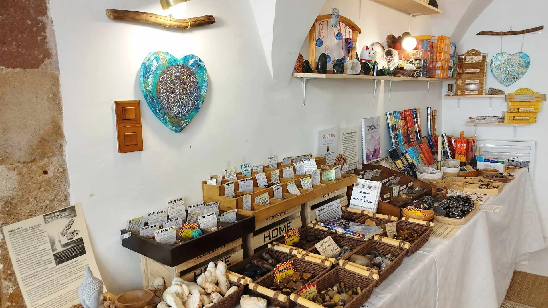 434049103_447499374614861_5107199220912932649_n