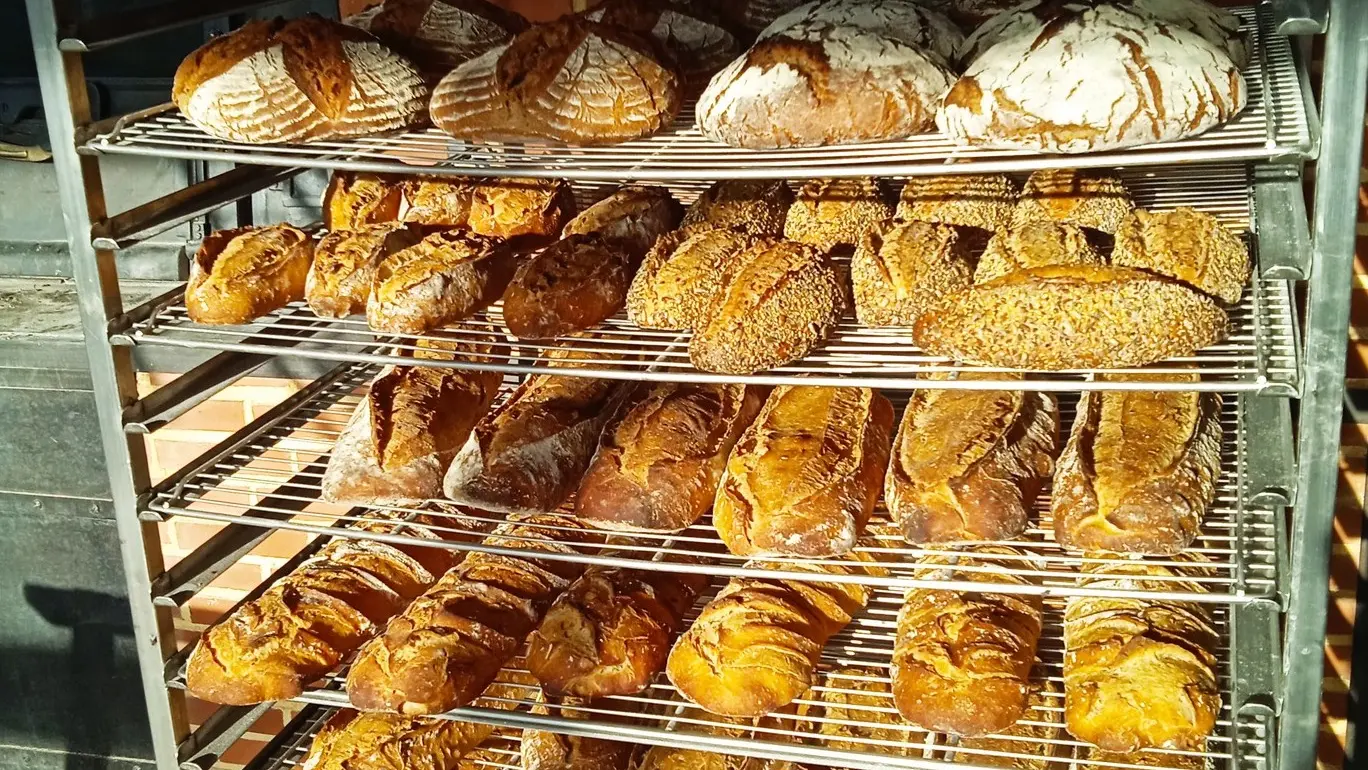 470138940_122172297968247246_4913571438560558870_n