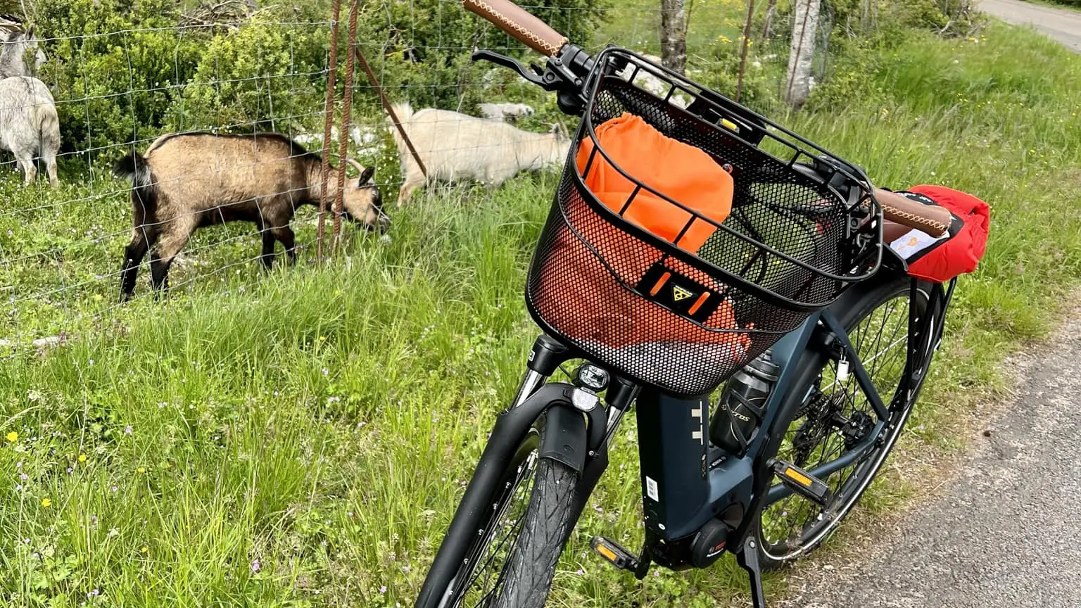 Les vélos des Gorges du Tarn