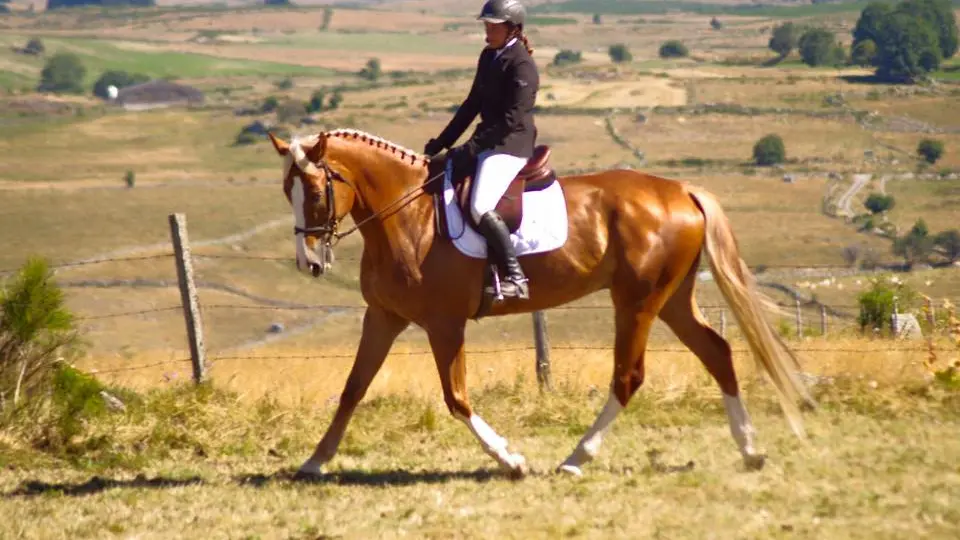 Club Hippique du Gévaudan