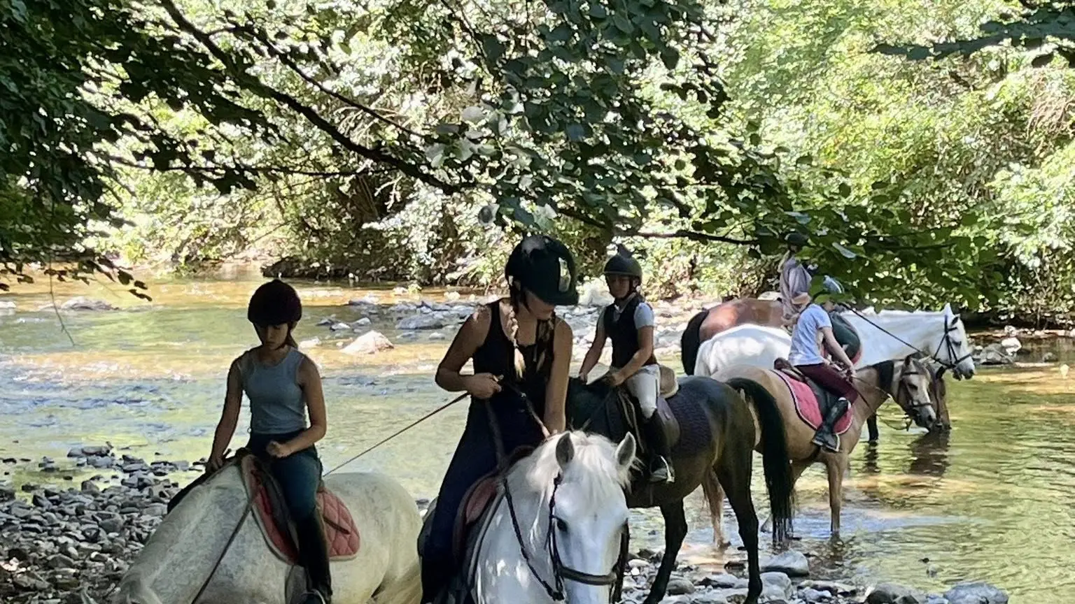 Club Hippique du Gévaudan