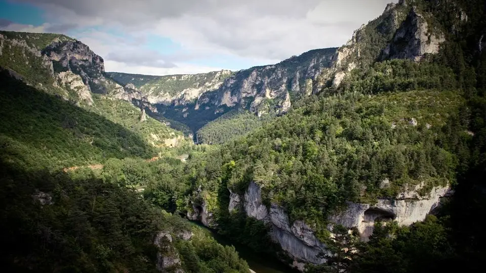 Elastic Natural Bungee Le 107