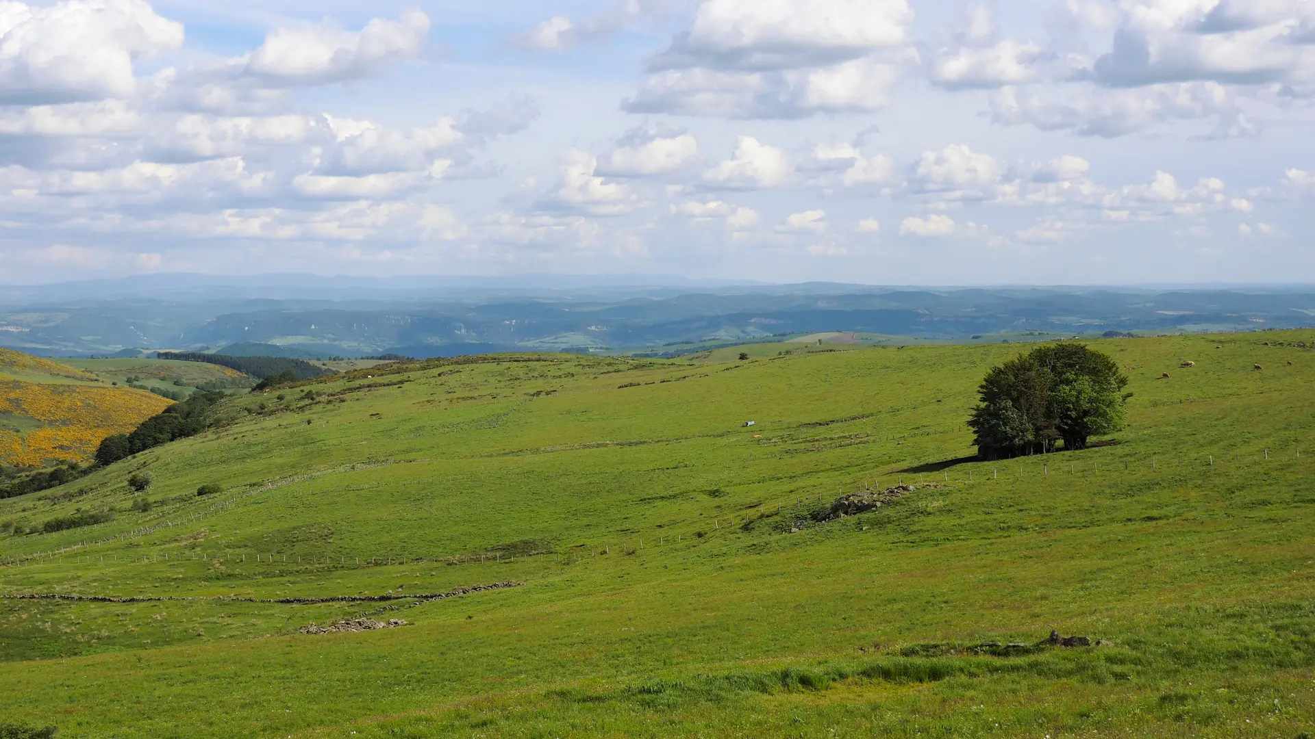 Le plateau de l'Aubrac