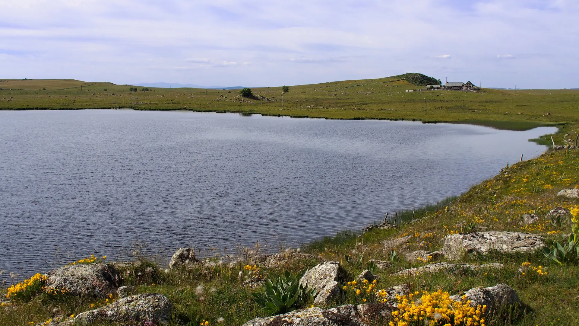 -6250105-copie---Copie