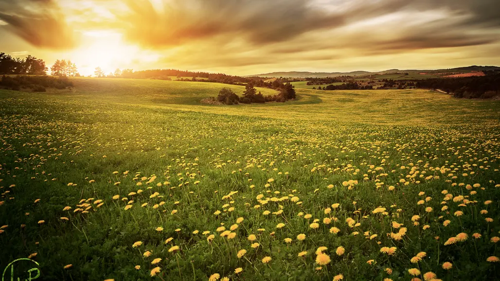 Coucher de soleil sur le sauveterre_3