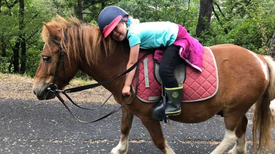 Club Hippique du Gévaudan