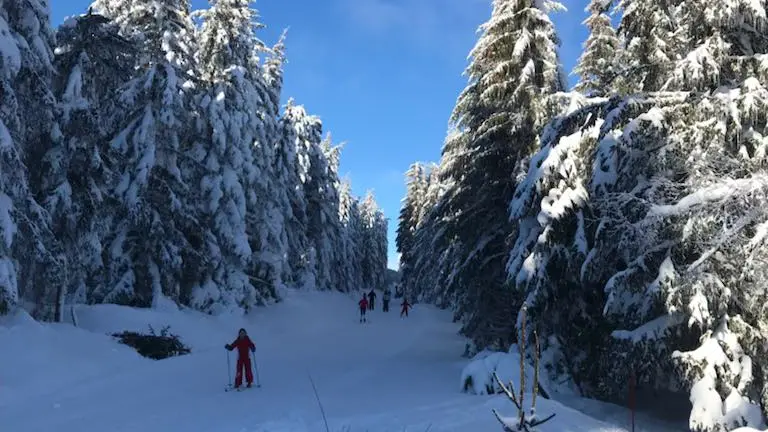 Aubrac Sud Lozère, Col de Bonnecombe