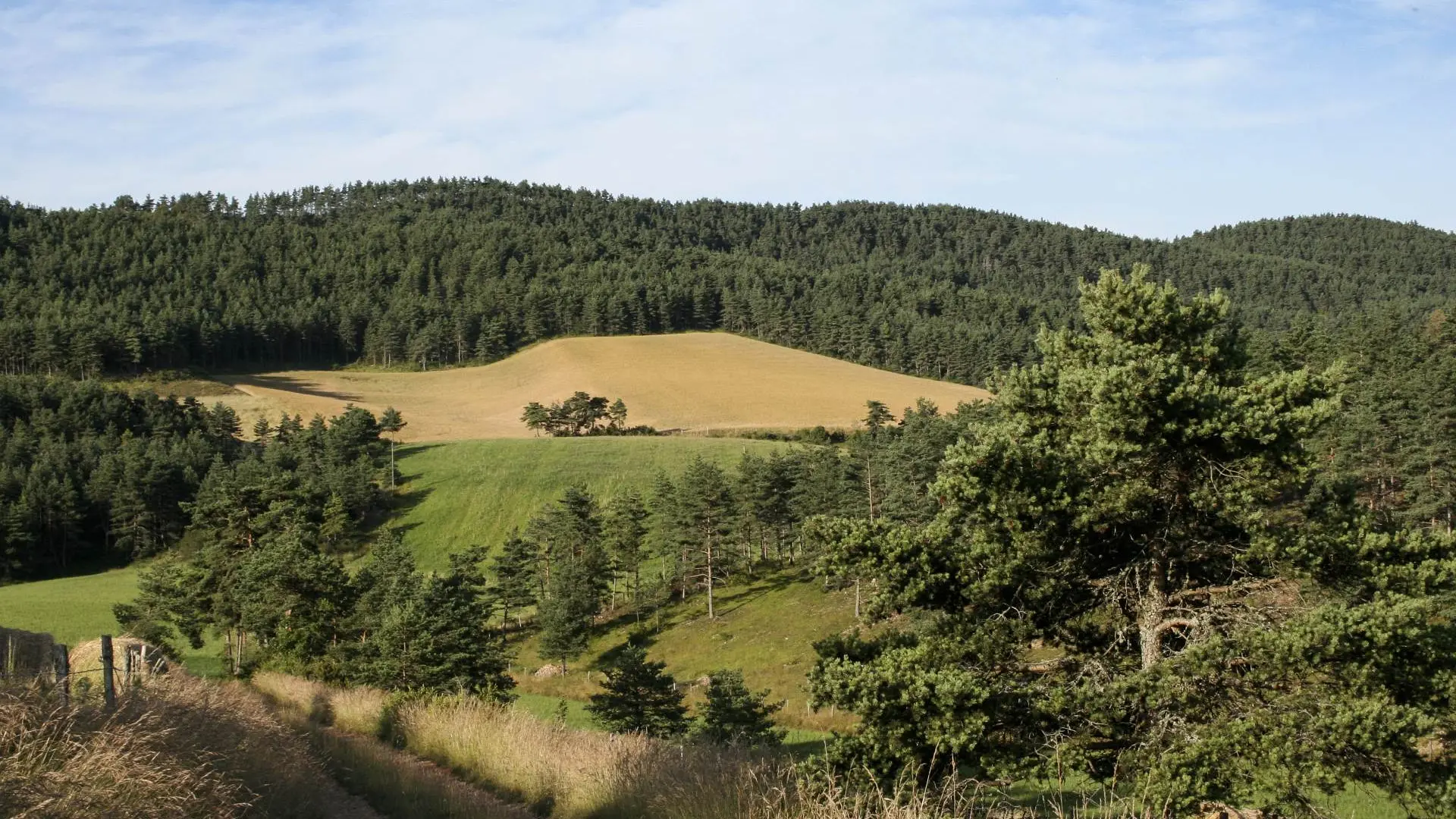 Vue depuis le circuit du Mazelet_1