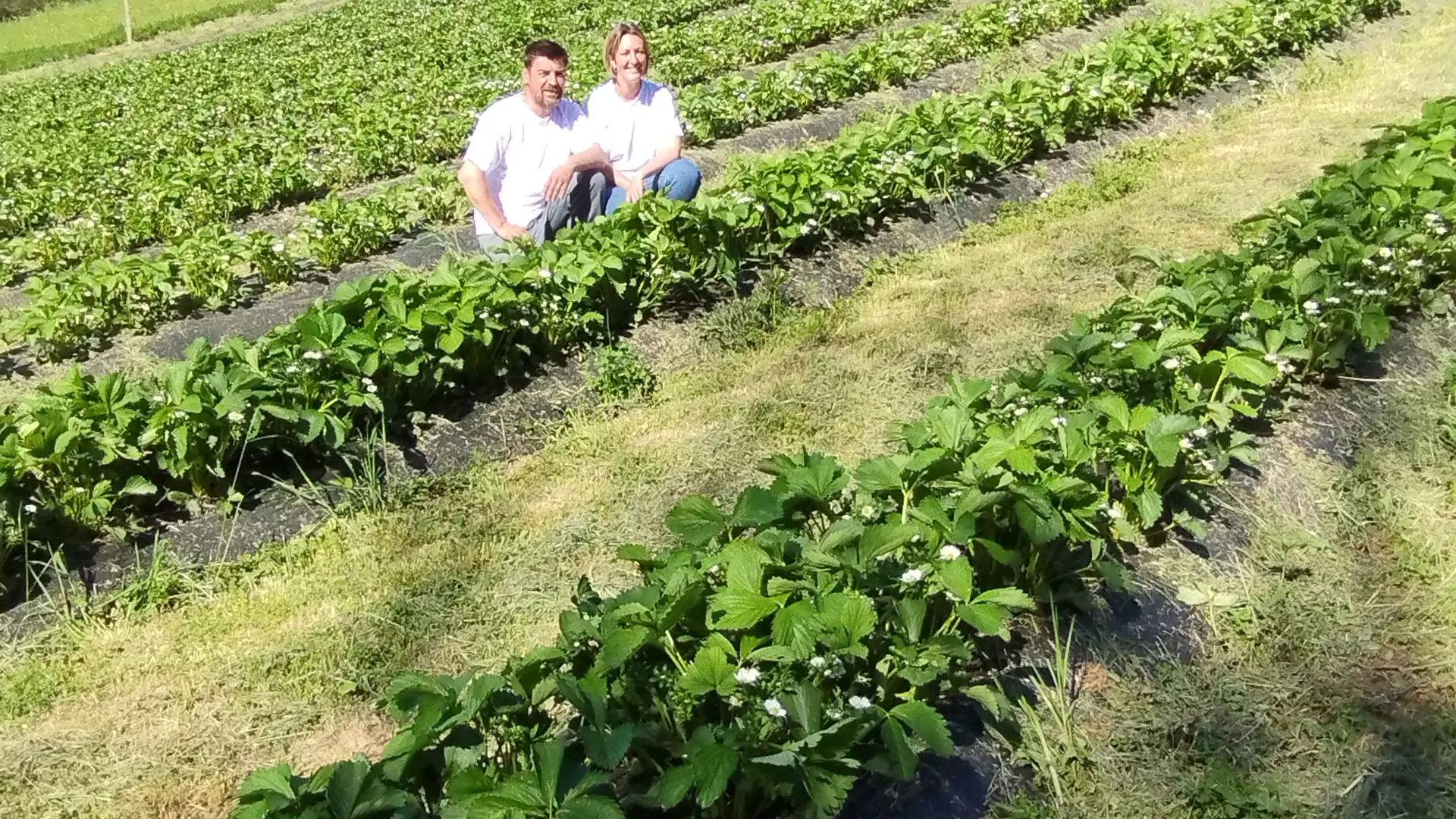 Aire de camping car La Coste