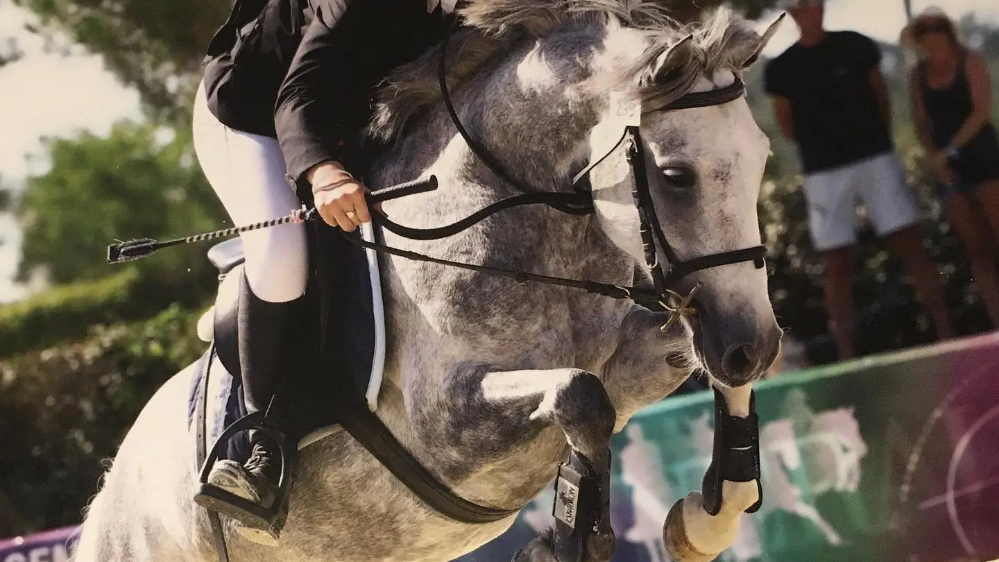 Ecurie des Grands Causses