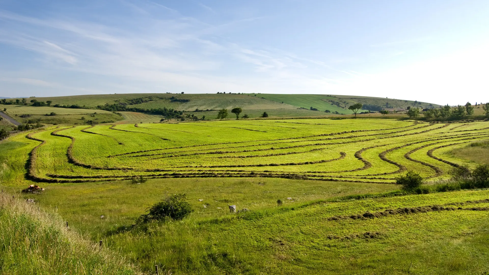 Fenaison à Sauveterre