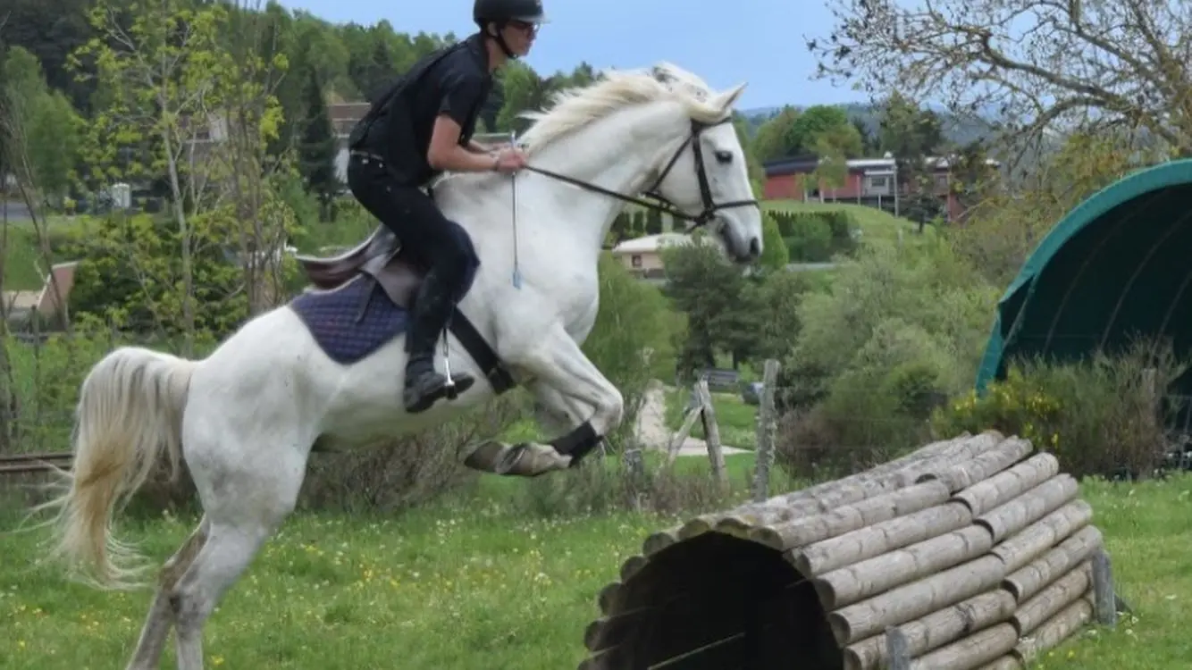 Ecurie des Grands Causses