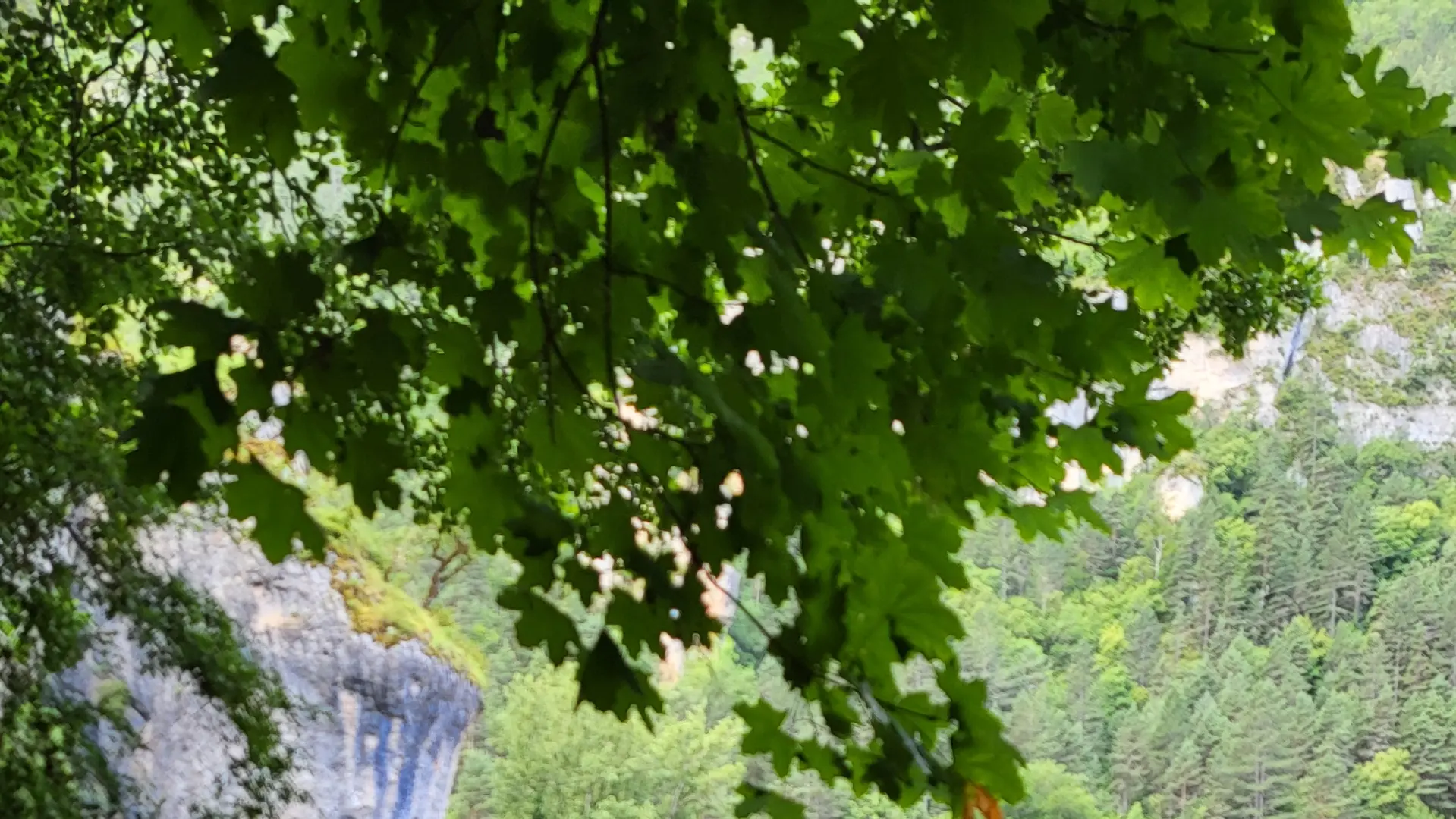 ancien débarcadère