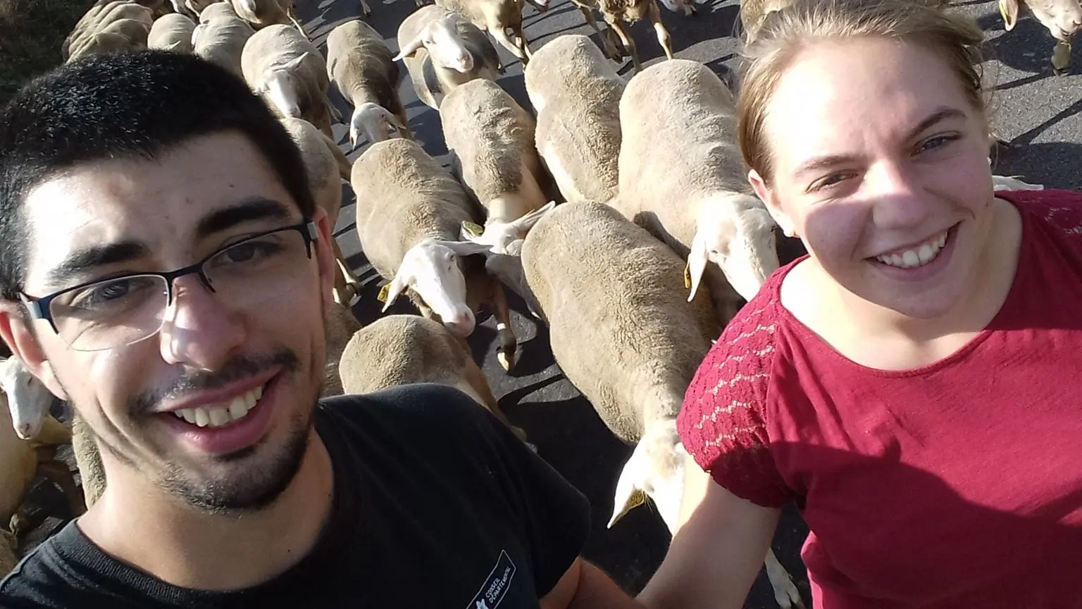 364088250_2310754312459578_1959522065282394550_n