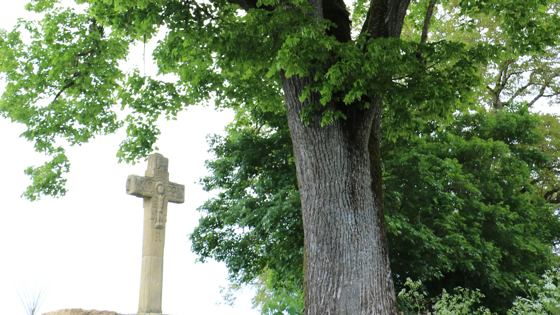 Tilleul et croix au Montet_4