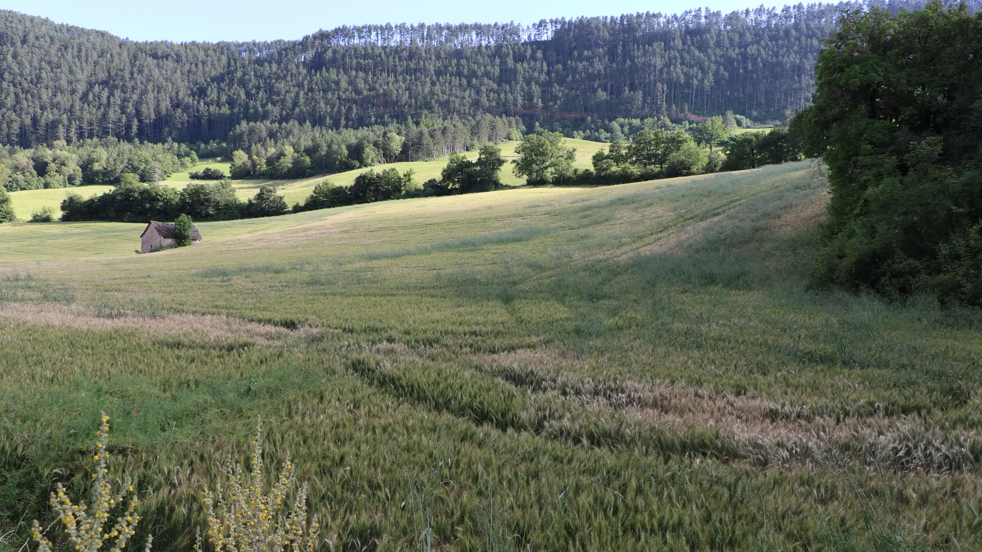 Vue depuis le sentier des saliens_4