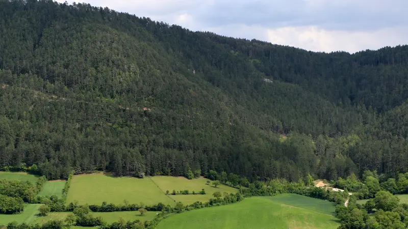 Vue depuis les hauteurs du Bruel_1