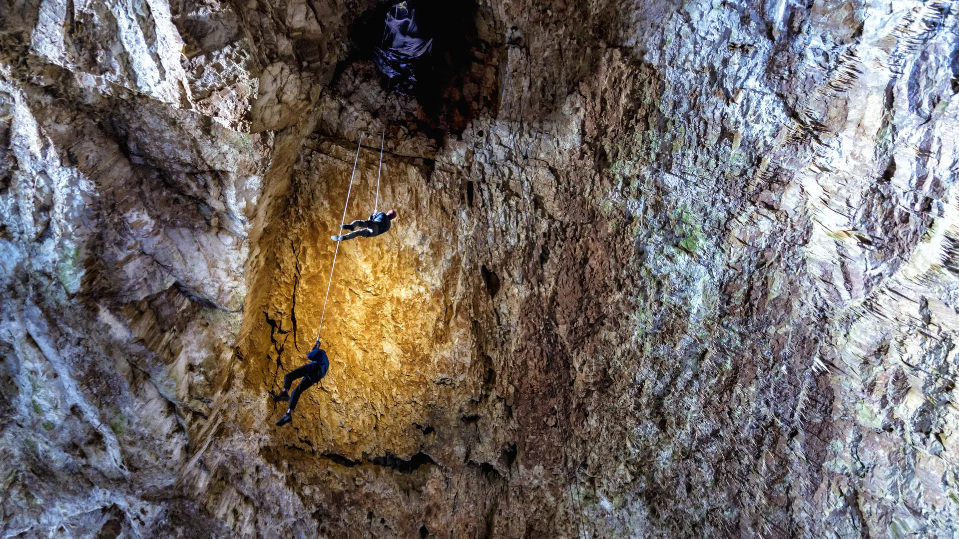 AA46 © Exo Dams Aven Armand®