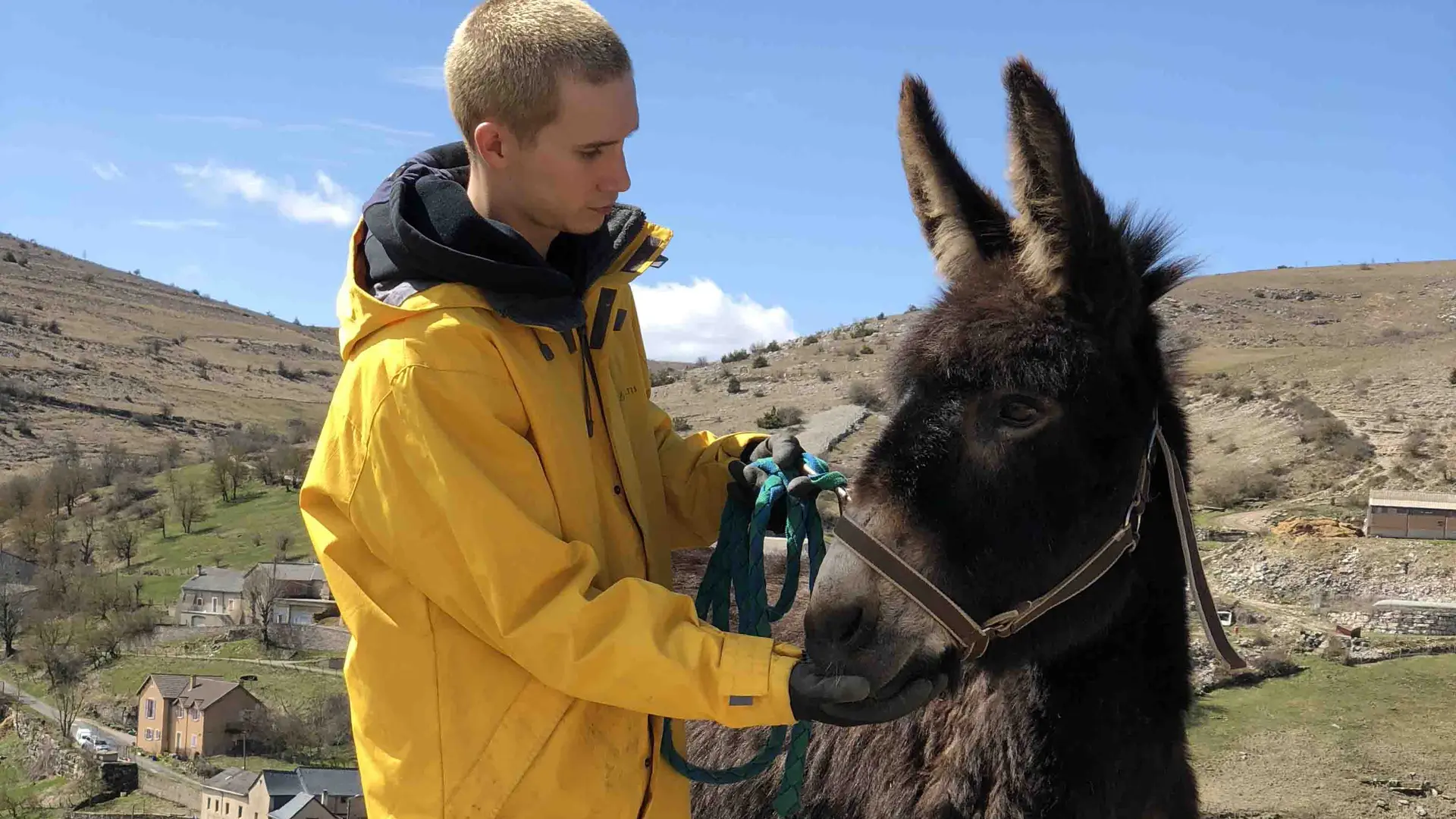 Alex et Séraphine Les Ânes du Vigos