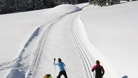 Aubrac Sud Lozère, Col de Bonnecombe