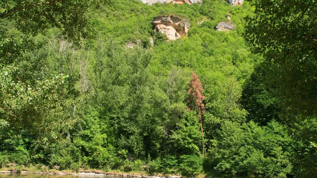 CAMPING DE PEYRELADE - Un emplacement