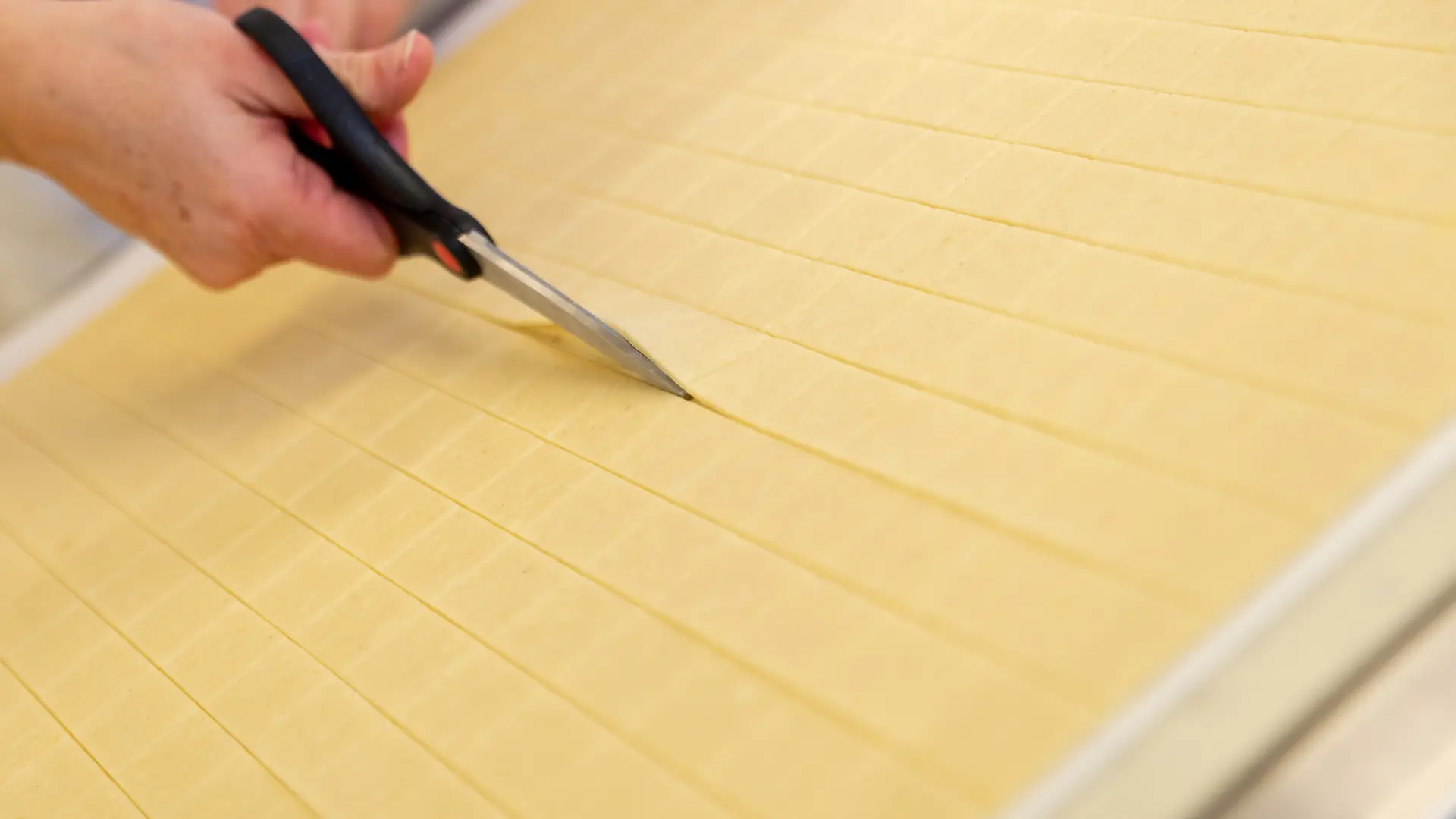 CONFITURERIE BISCUITERIE LA SAUVAGINE