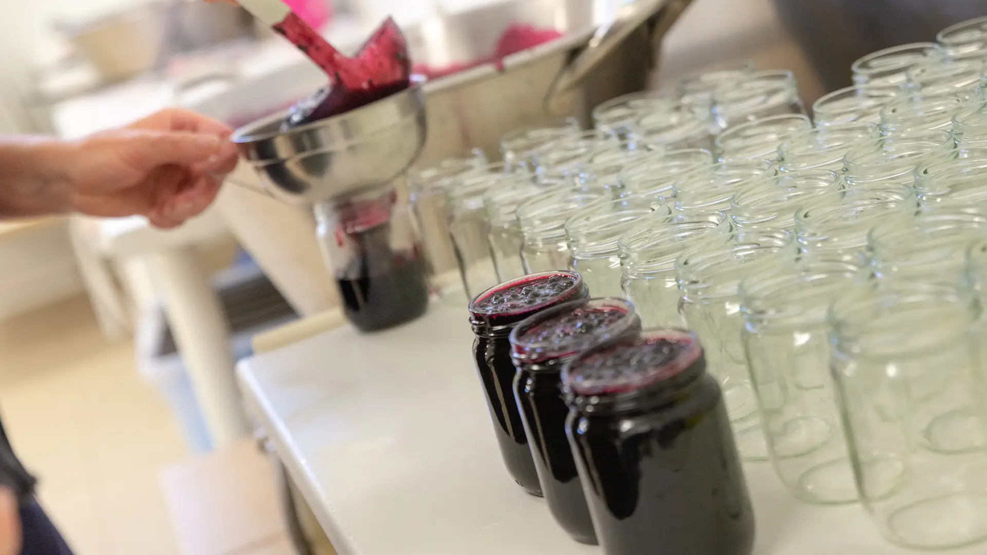 CONFITURERIE BISCUITERIE LA SAUVAGINE