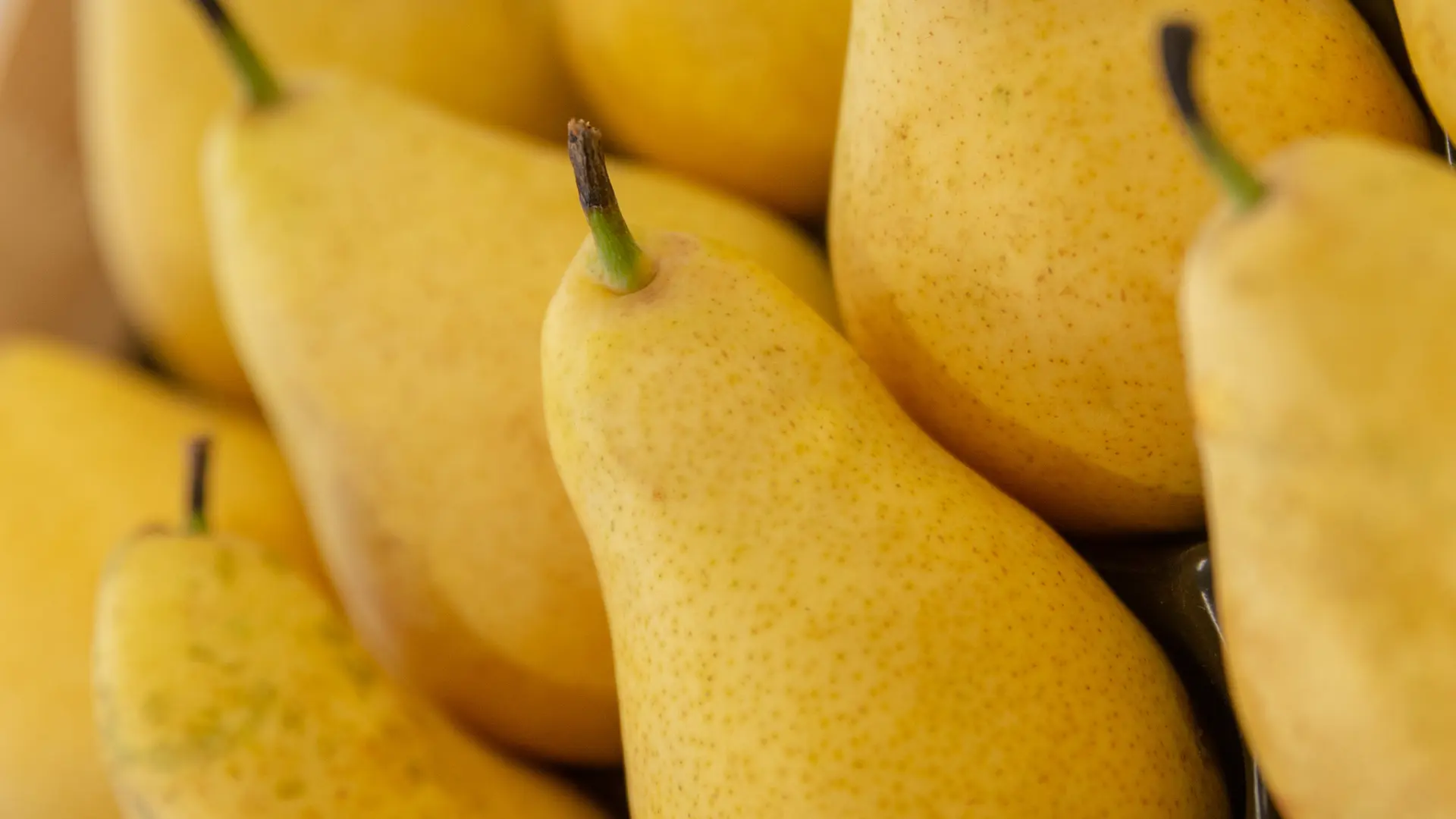 CONFITURERIE BISCUITERIE LA SAUVAGINE 3