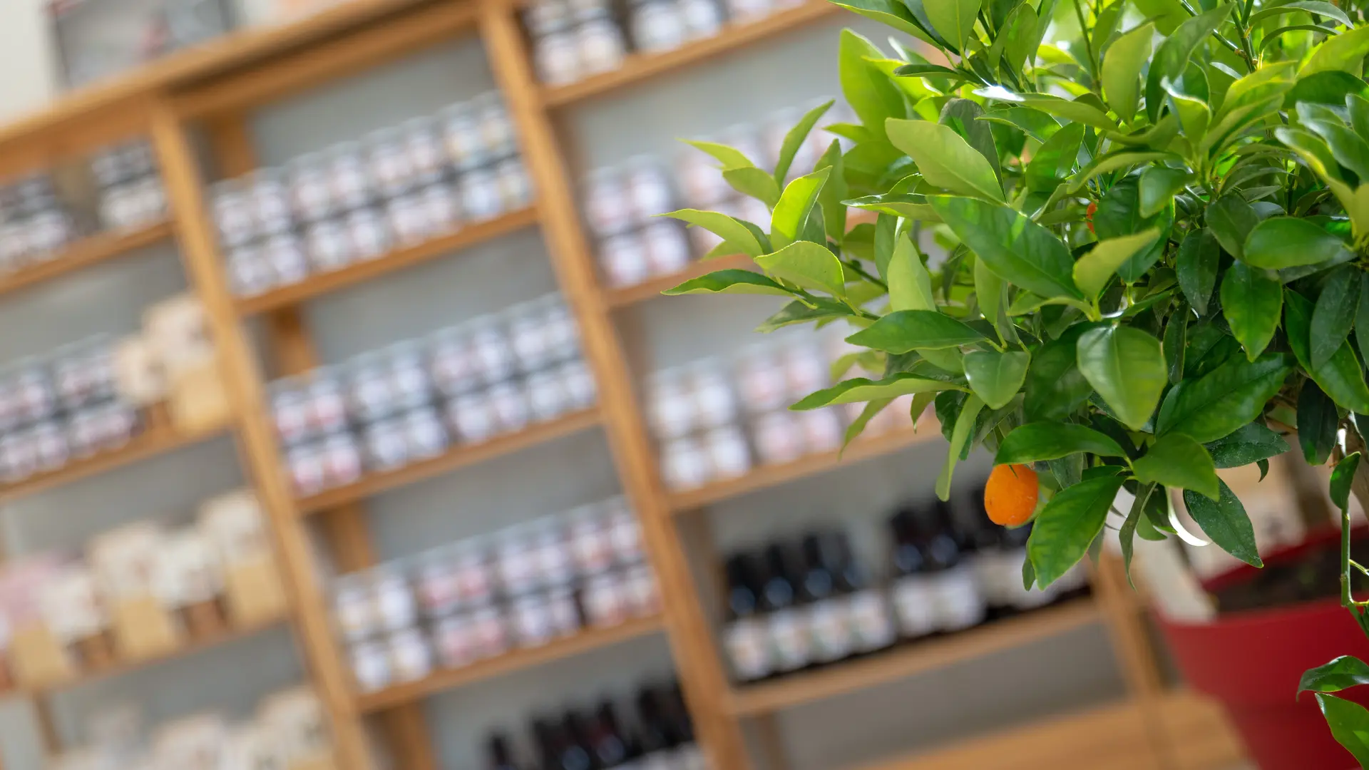 CONFITURERIE BISCUITERIE LA SAUVAGINE