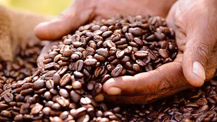 Café Fraté - Café fraté