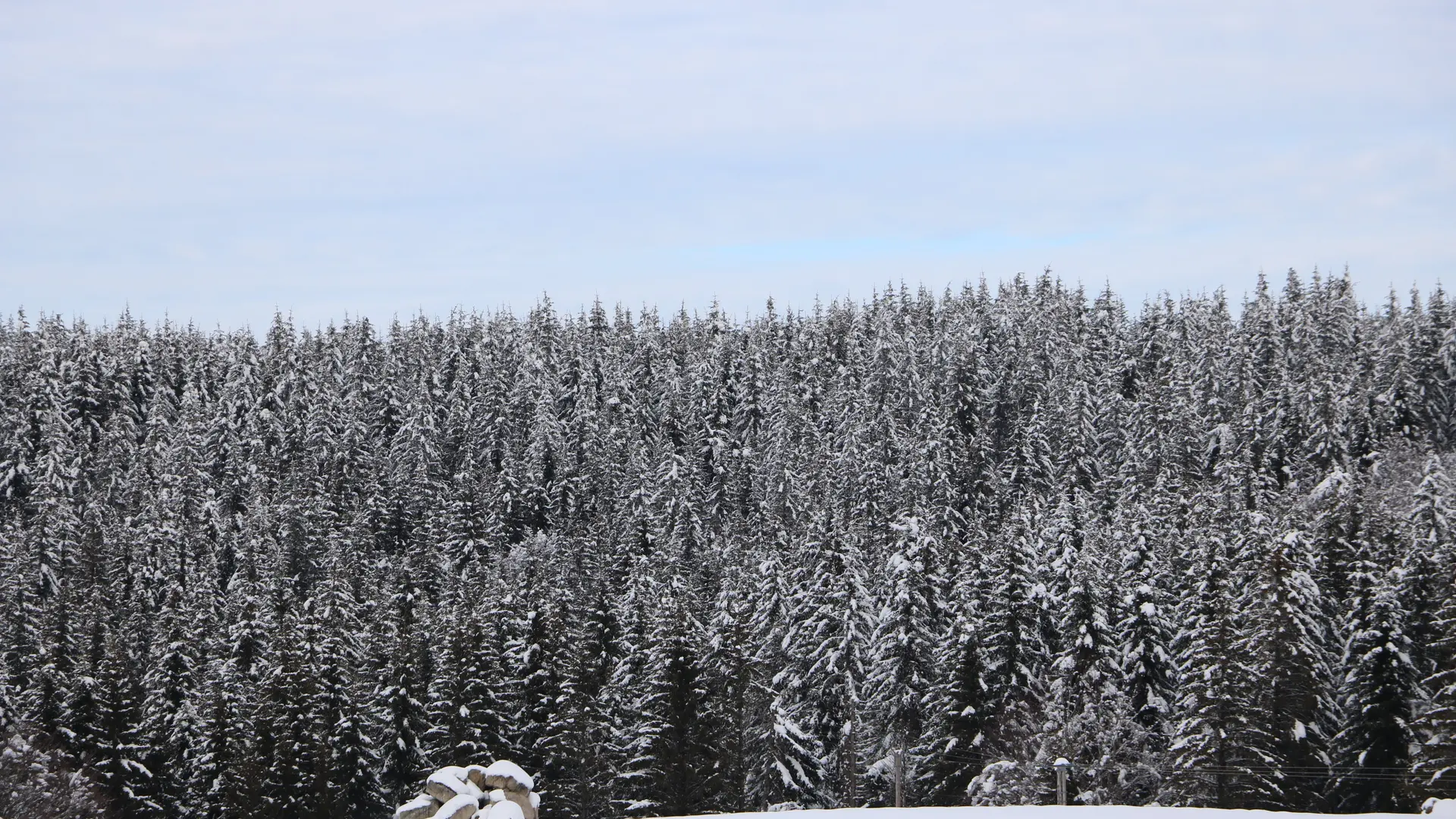 Col de Bonnecombe @S (1)