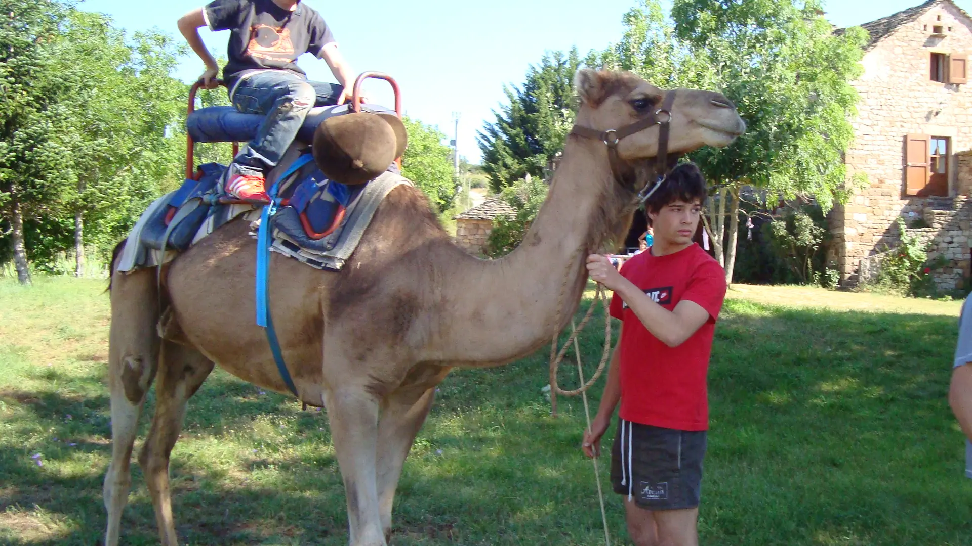 Balade à dromadaire, Ferme de La Blaquière