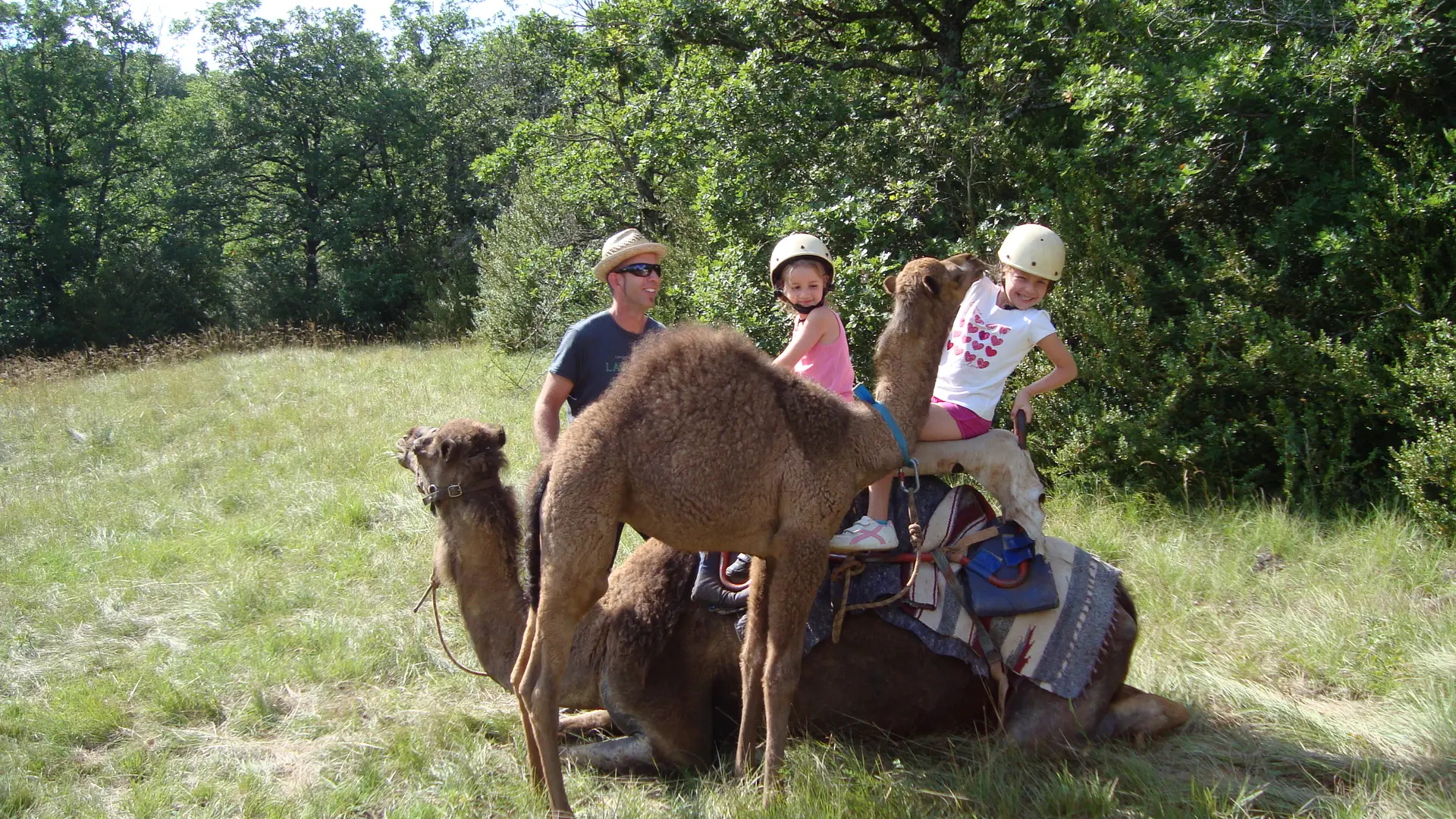 Balade à dromadaire, Ferme de La Blaquière