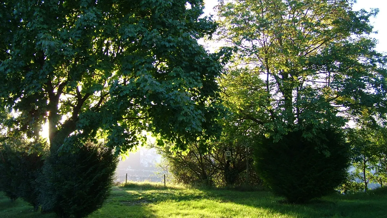 Verdure du camping Aux portes du Sauveterre