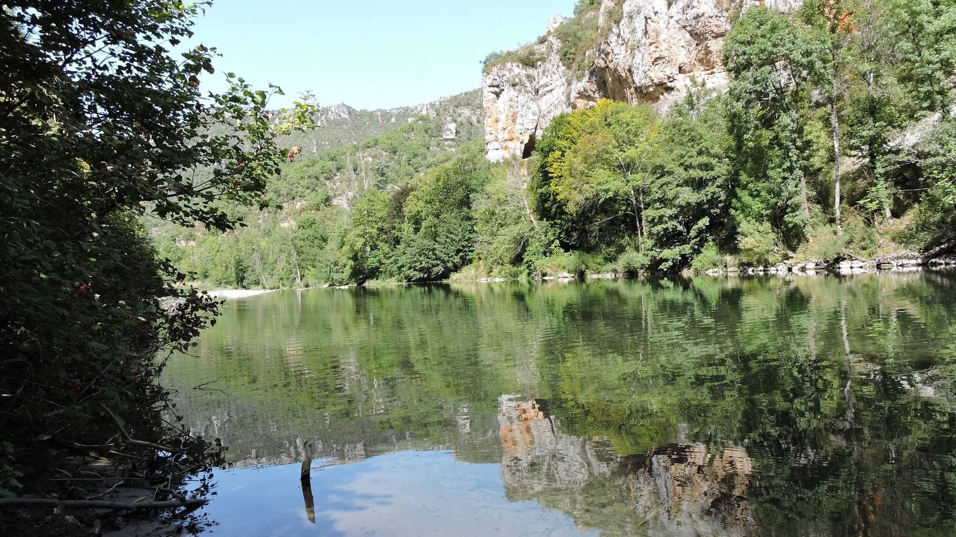 GR 736 - Linéaire des Gorges du Tarn