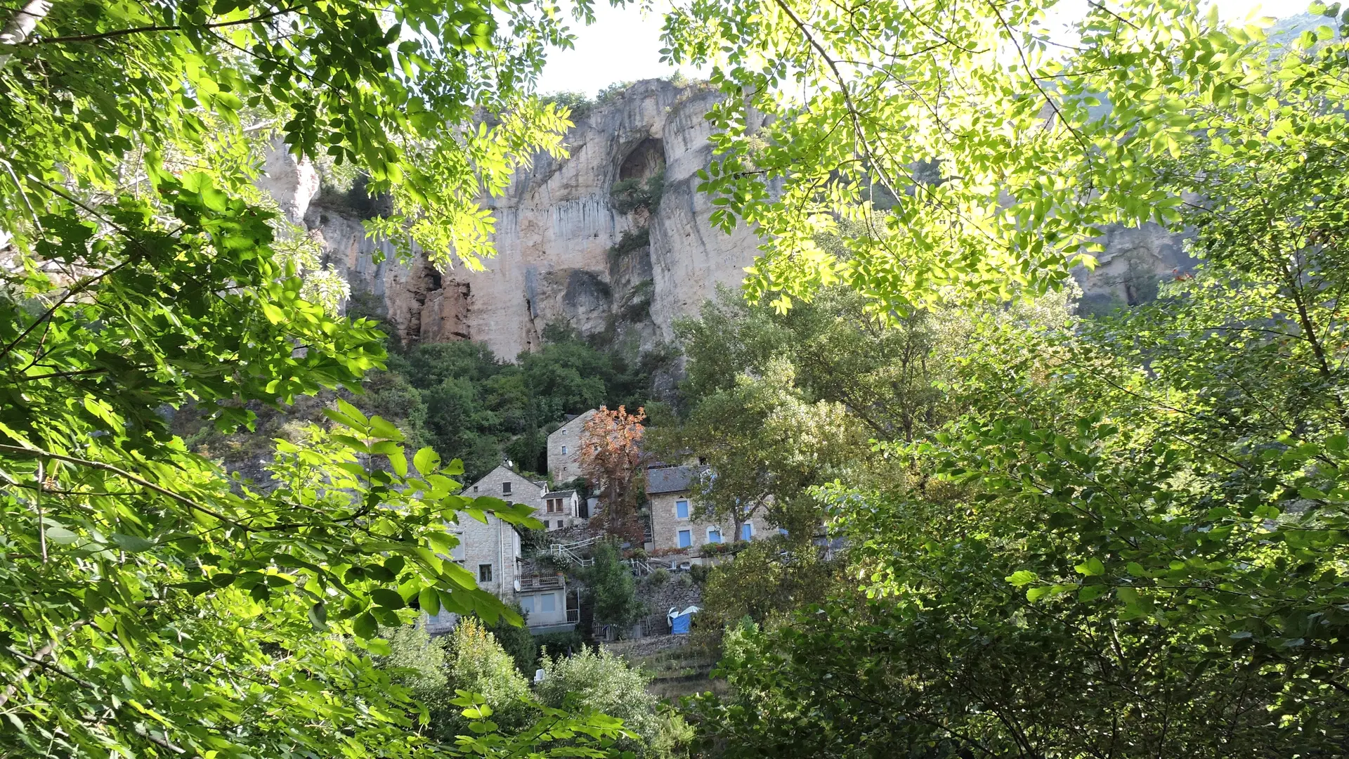 GR 736 - Linéaire des Gorges du Tarn - Pougnadoires