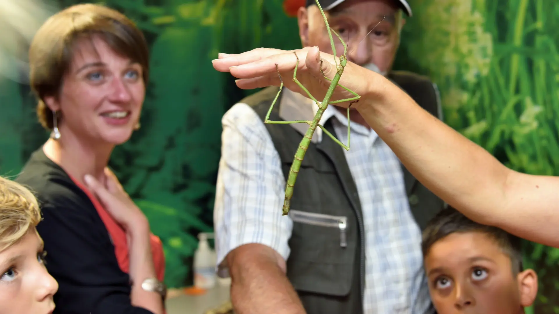 Des-animations-captivantes-Phototheque-Micropolis