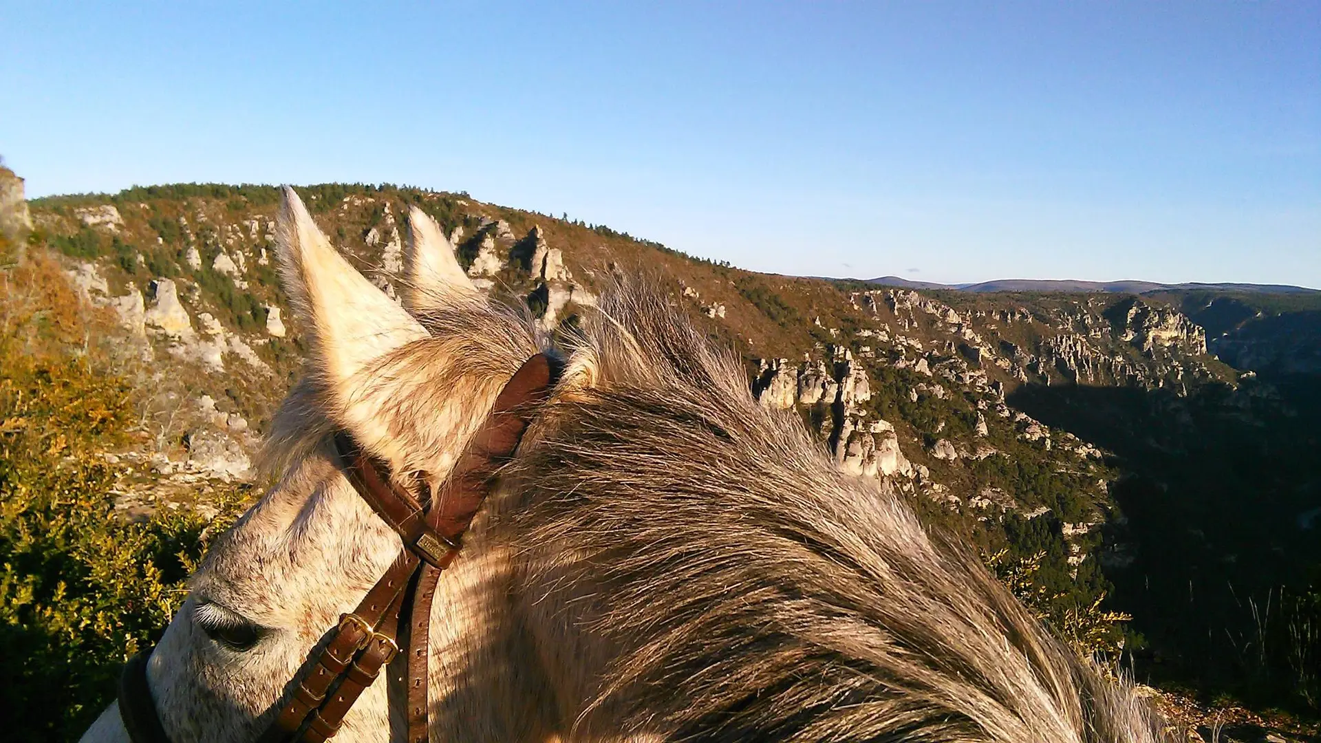 Ecurie des Grands Causses