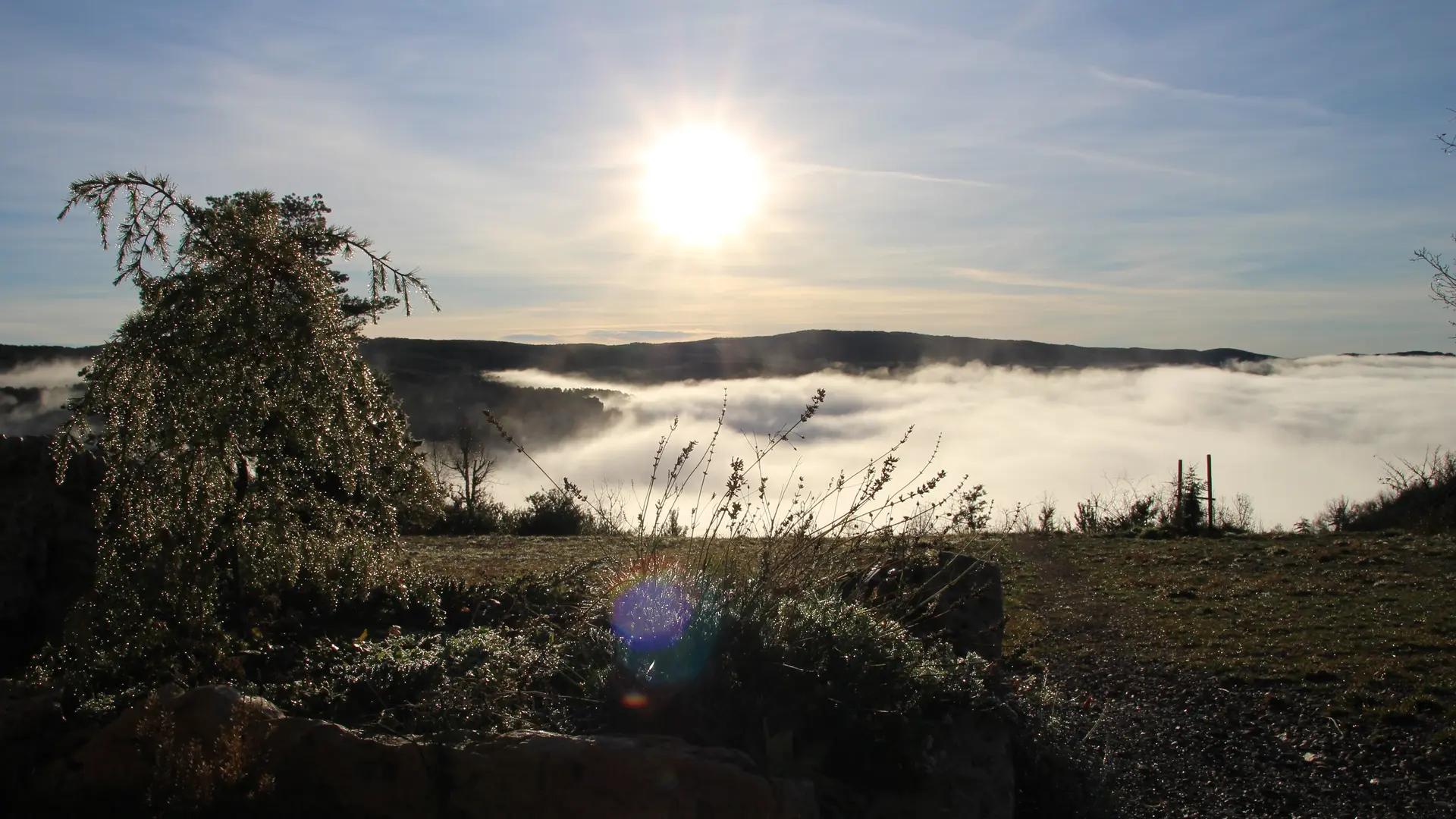 Vue brume et rosée matinale sur les Gorges du Tarn - Le Balcon des Gorges