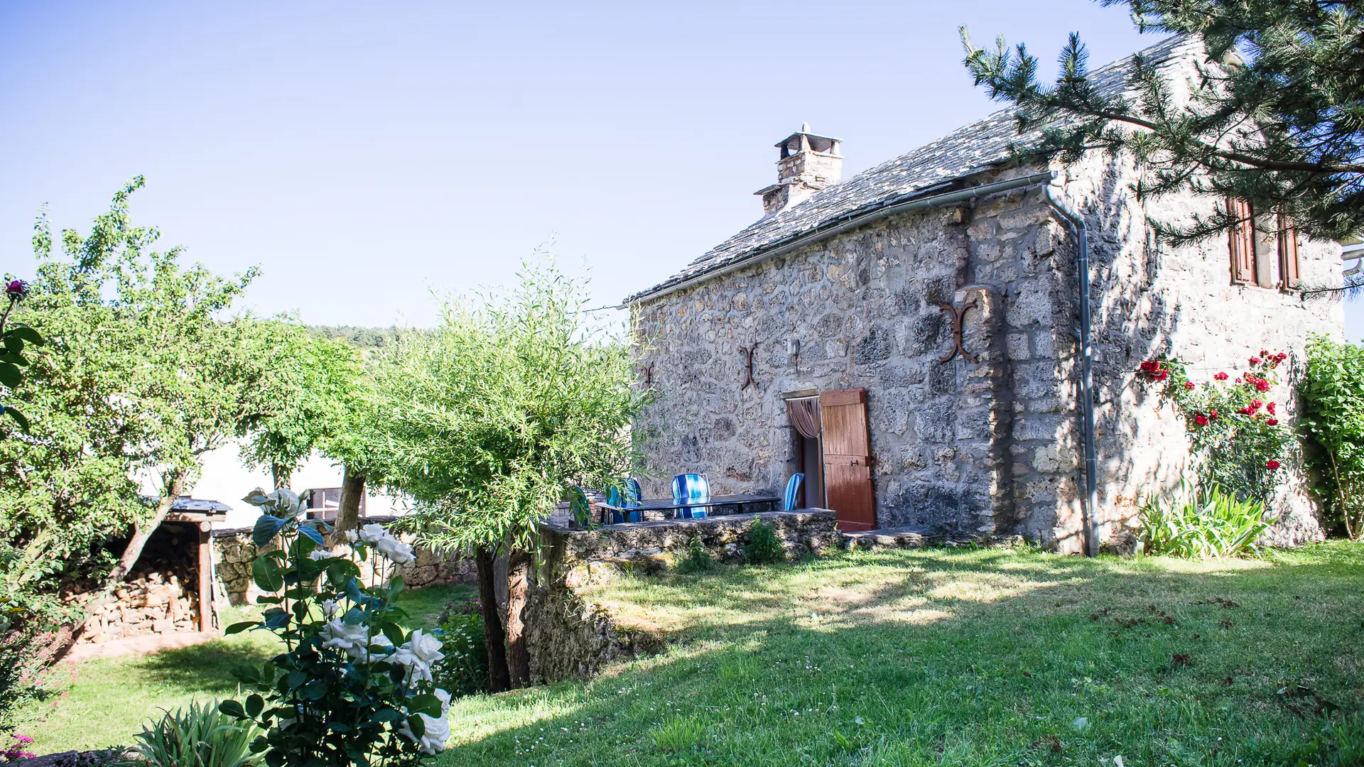 HLOLAR0480009816_01_V