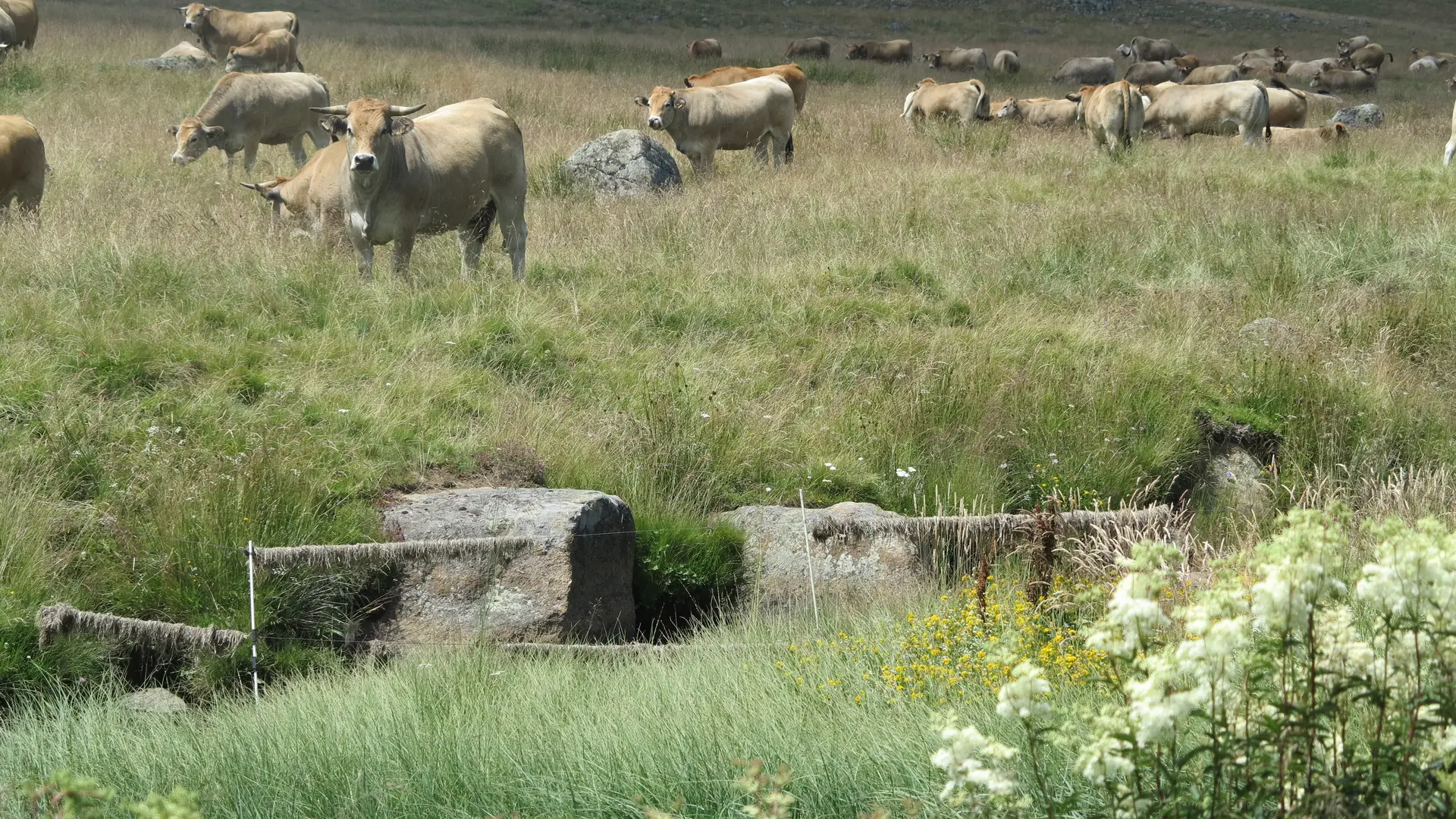 HLOLAR0480009788 - IMG_0608