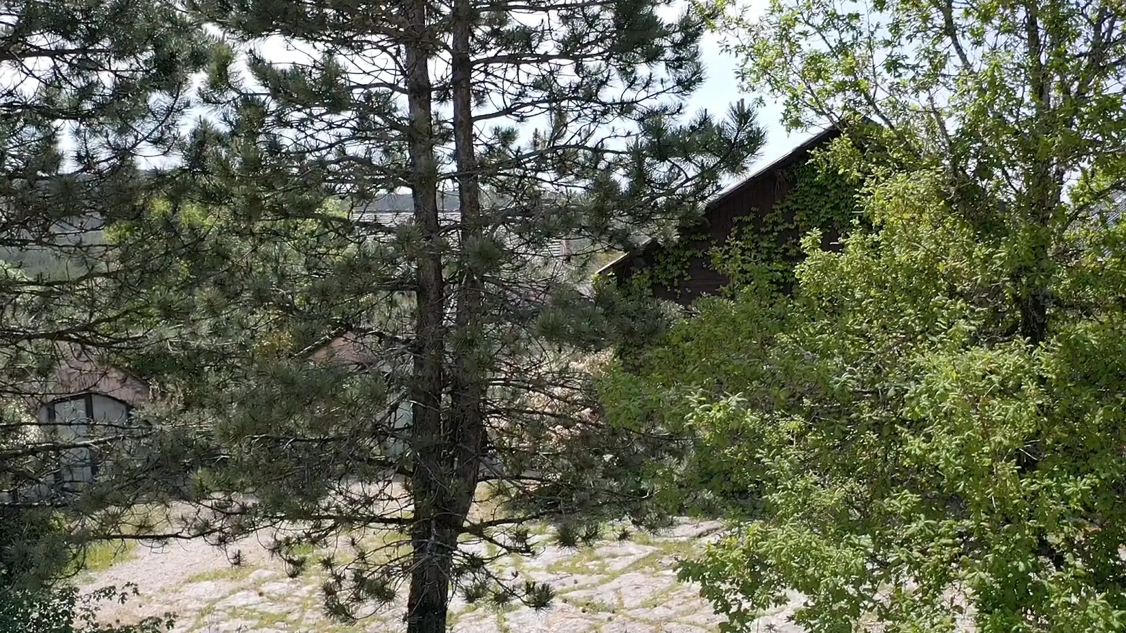 LEdS - Gîte Ecuries - Arrière du domaine