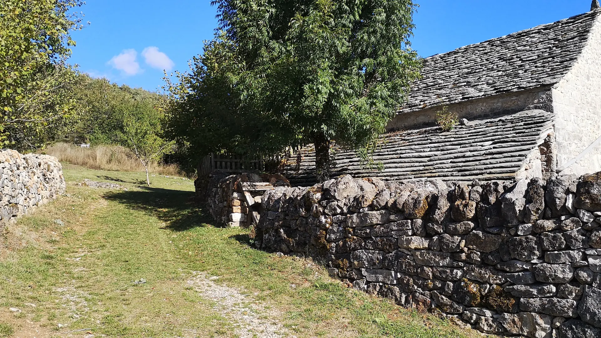 IMG_20190928_162146[1]