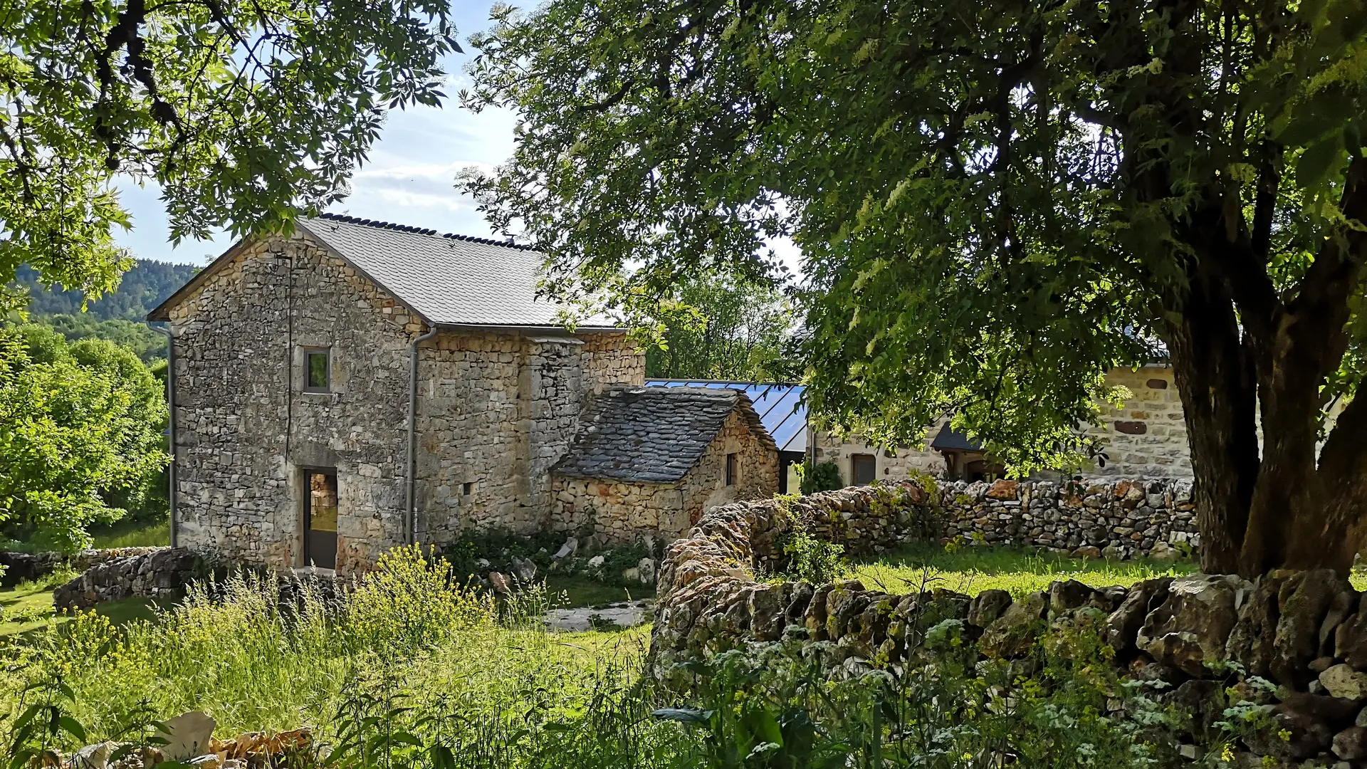 IMG_20210609_184135[1]