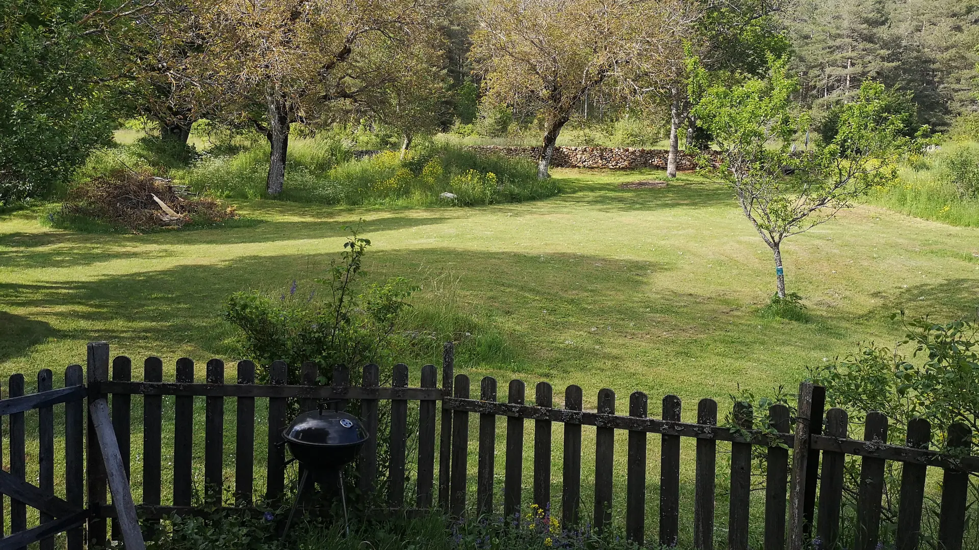 IMG_20210609_182547[1]