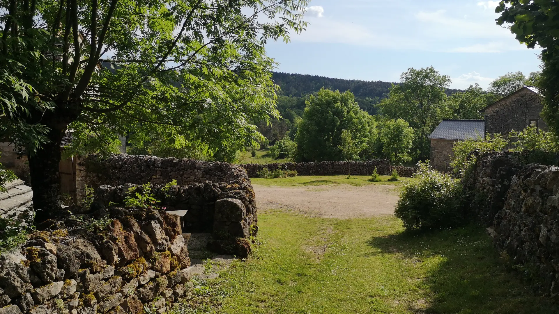 IMG_20210609_182731[1]